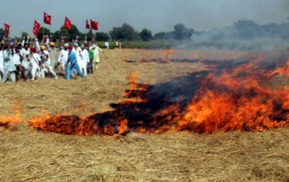 Farmers In Punjab, UP Protest Against Fines On Stubble Burning