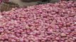Onion Prices Rise Sharply: Ground Report From Delhi, Lucknow