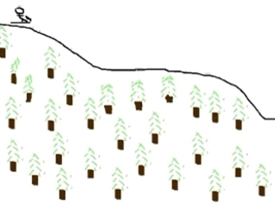 Luge