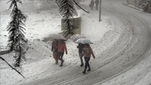 Heavy Snowfall In Jammu and Kashmir: Ground Report