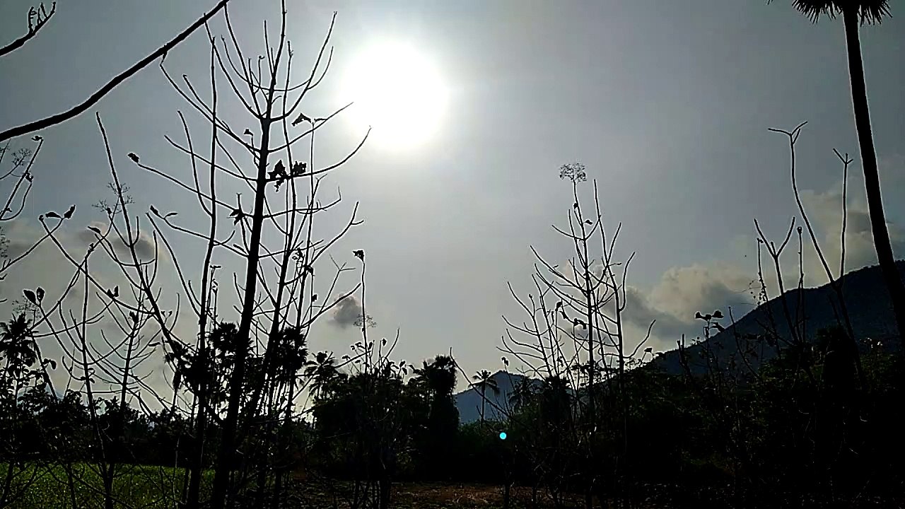 Sun in morning