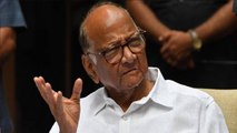 Sharad Pawar Holds Meeting With NCP Ministers On Bhima Koregaon Row