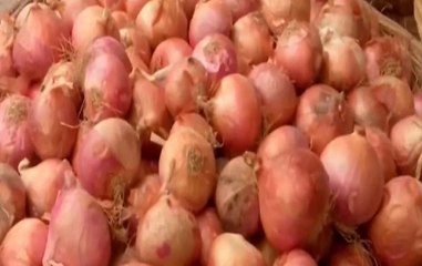 Special Report: Onion Prices Hit Record-High In Metro Cities