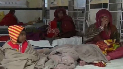 下载视频: Report: Is Rajasthan Govt Serious Enough Over Infant Deaths In State?