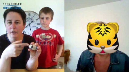 Confiné(e,s) avec des Idées - Jeux, jouets pour chat faits maison