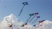 Kite Festival Organized On Makar Sankranti: Ground Report