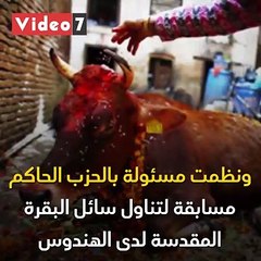 دجل برعاية سياسية.. بول البقر وحرق الفيروس بالصلاة علاجات كورونا