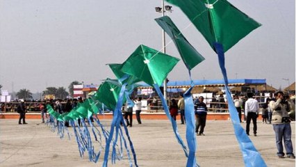 Makar Sankranti: Glimpse Of Jaipur's Popular Kite Festival
