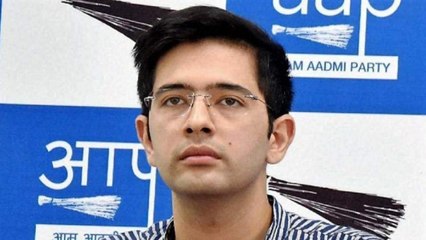 This Is Victory Of Kejriwal Model Of Development: AAP's Raghav Chadha