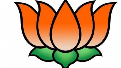 Delhi Election 2020 Results: Reaction Of BJP Over AAP’s Lead