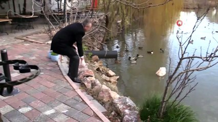 'Haydut’a binlerce kilometre uzaktan yeni arkadaş