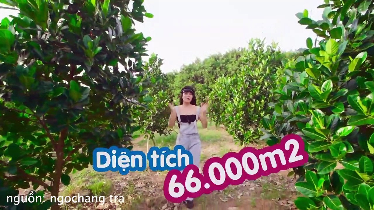 Trà Ngọc Hằng khoe khu đất 15 tỷ