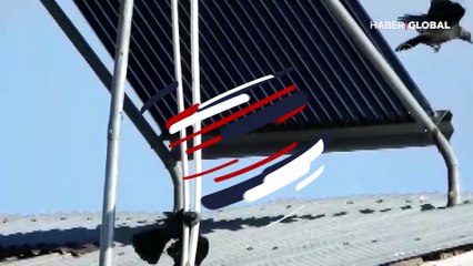 Kafası boruya sıkışan karganın çırpınışları, bir vatandaşın müdahalesiyle son buldu