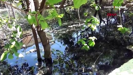 Evleri lağım suyu ile dolan vatandaşlar isyan etti: Koronadan değil, koleradan öleceğiz