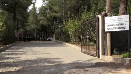 Yaban hayvanlar Şanlıurfa'daki merkezde şifa buluyor