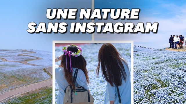 Avec le coronavirus, ce célèbre parc japonais ne ressemble plus à ça sur Instagram