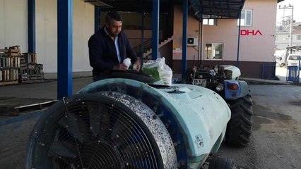 Bursa'da, yasaktan muaf olan çiftçiler, meyve ağaçlarını ilaçladı