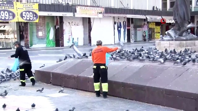 - Ankara Ulus Meydanı’nda öksüz kalan güvercinler unutulmadı