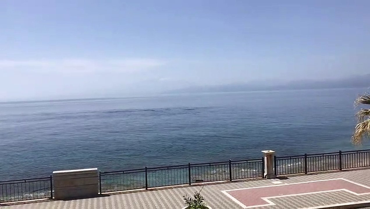 Delfini a Lazzaro RC