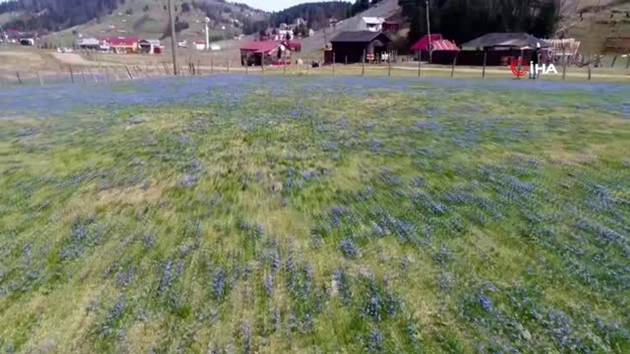 'Mor Yayla' ismi ile tanınan Kadıralak Yaylasında 'Korana' sessizliği