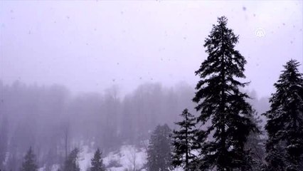 Kaçkar Dağları'na kar yağdı