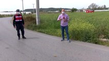 ANTALYA-Jandarma, bukalemun geçene kadar trafiği durdurdu