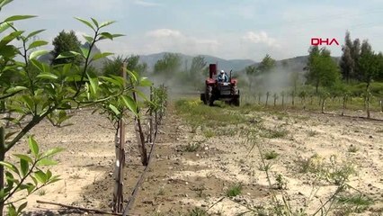 ADANA Kozan'da çiftçiler çalışmaya devam etti