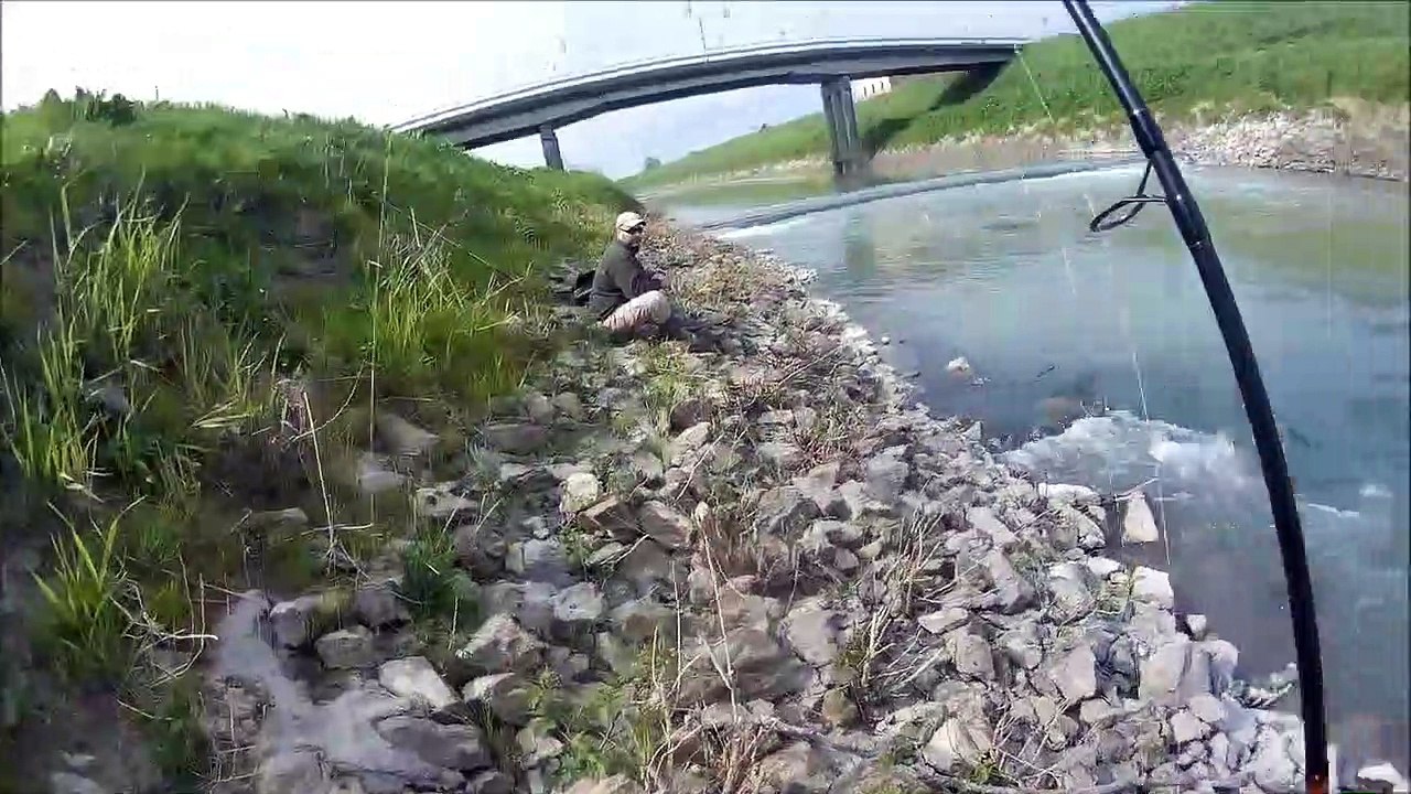 Catfish Spinning April 2017 (Siluri a Spinning Aprile 2017) (1)