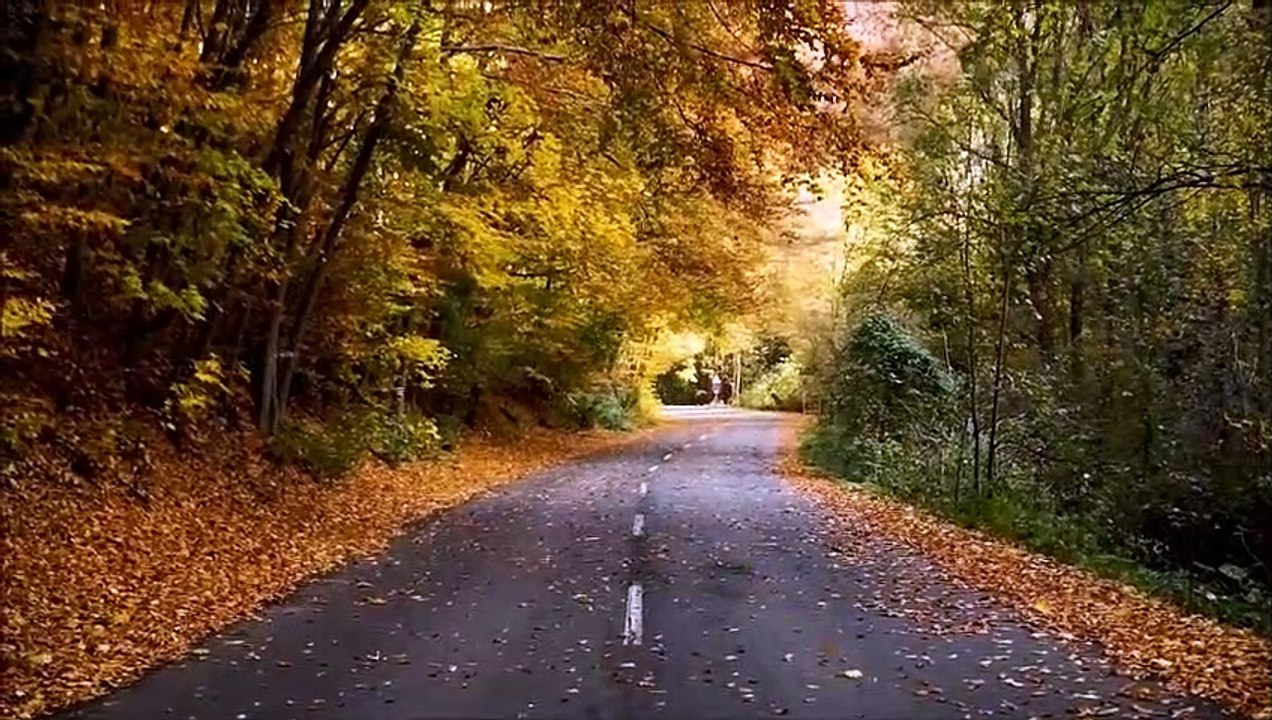 Nature Love music with Amazing Scenery HD Video 1080p