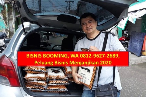 BISNIS BOOMING, WA 0812-9627-2689, Peluang Bisnis Menjanjikan 2020