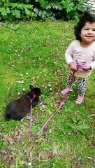 bunny playing with baby