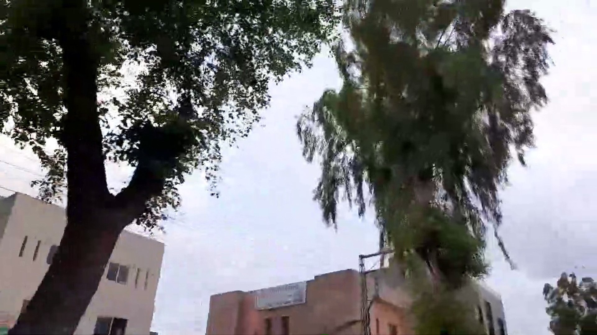 Relaxing Music with Nature Sounds, Forest Music, Sleep Music, Meditation Music