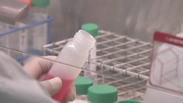 에볼라 치료제 '렘데시비르', 국내 임상 2건 진행 중 / YTN