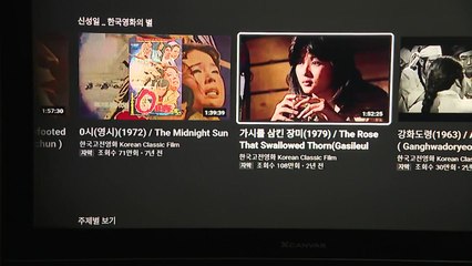 집에서 즐길 수 있는 '알짜' 문화 콘텐츠 / YTN