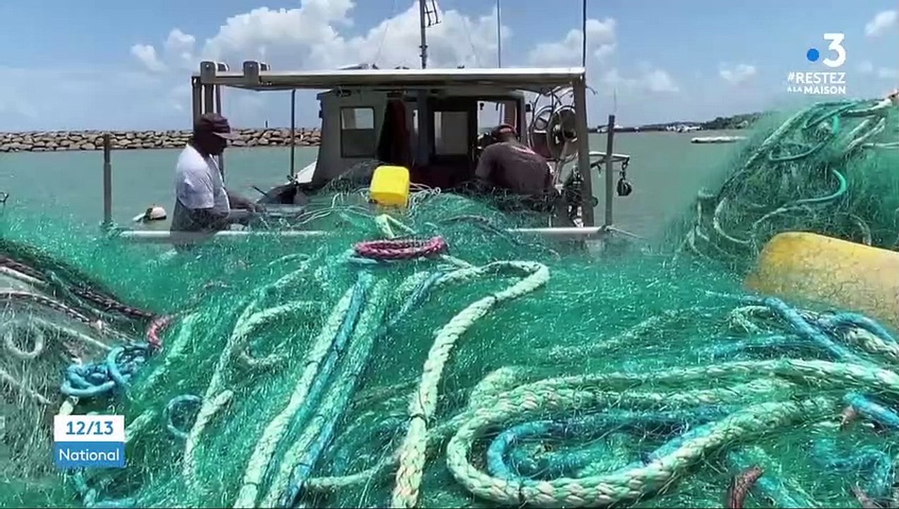 Outre-mer : les pêcheurs se mettent à la livraison, pour tenter de sauver leur activité