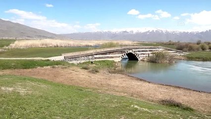 Avlanma yasağı bulunan "Van Gölü'nün incisi" sıkı tedbirlerle korunuyor
