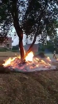आकाशीय बिजली गिरने से किसान का अनाज हुआ जल कर राख