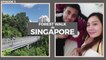 ALEXANDRA PARK - THE UNKNOWN AND UNSEEN PLACE OF SINGAPORE | FOREST PARK | TELOK BLANGAH HILL PARK | COUCHSURFING - HINDI