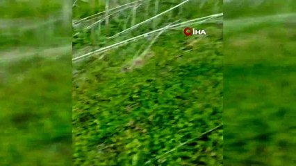 Edirne'de ecdada büyük saygısızlık