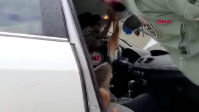 Elazığ'da uyuşturucu ticareti yapan 3 şüpheliye gözaltı