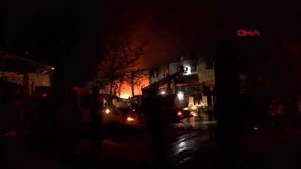 Trabzon'da balık fabrikasında yangın - 2