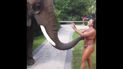 ELLA QUERIA UNA FOTO CON EL ELEFANTE | SHE WANTED A PICTURE BUT HE DIDN´T