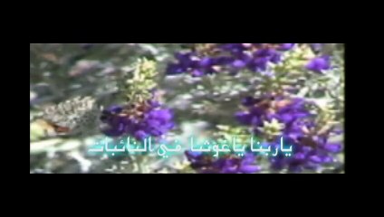 الشيخ زكي البحراني - يا ربنا يا سامعا للدعوات