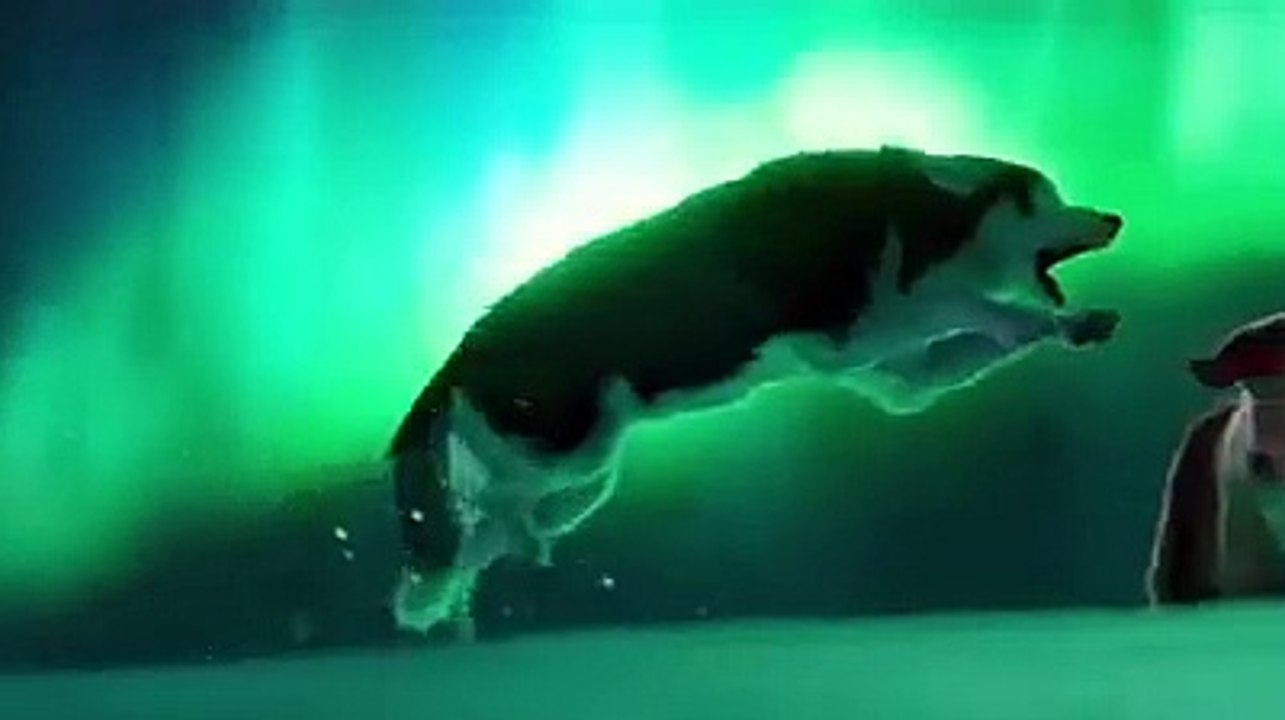 La différence entre chef & Leader