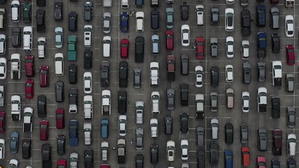 美 푸드뱅크 '몸살'...새벽부터 차량 1만2천 대 몰려 / YTN