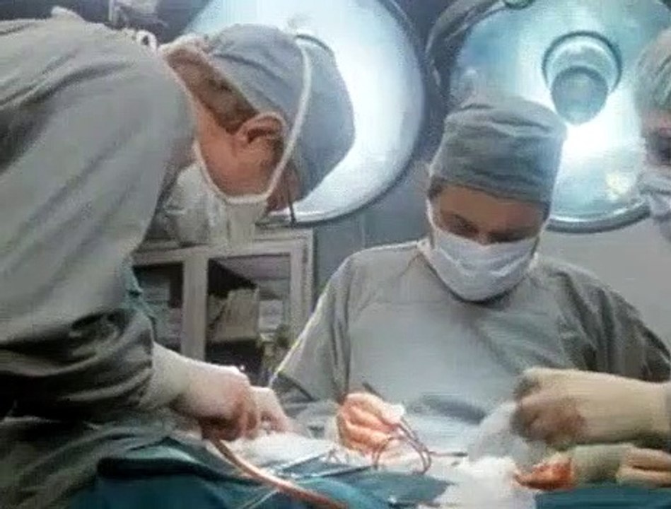 St. Elsewhere S02E12 Hearing