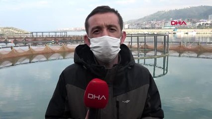 TRABZON Karadeniz'de av sezonu bitti, kültür balıkçılığına ilgi arttı