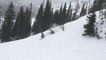 Guy Tries Jumping While Skiing and Crashes Into Tree