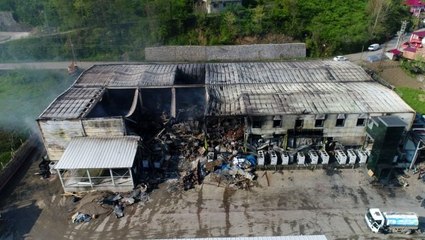 Balık fabrikasındaki yangının boyutu gün ağarınca ortaya çıktı