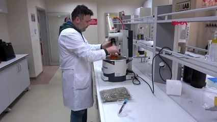 DÜZCE Zeytin ağacı yaprağından gıda takviyesi